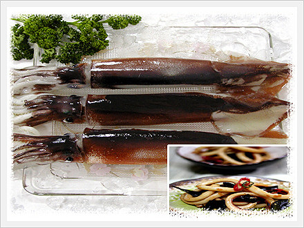 Squid Made in Korea